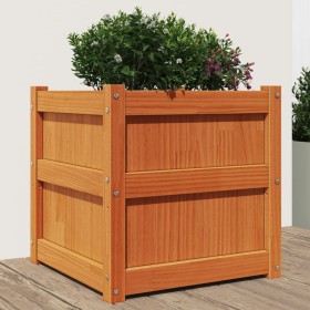 Jardinera exterior madera maciza pino marrón cera 50x50x50 cm en Macetas y jardineras | Comprar online en Foru.es