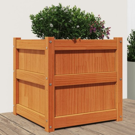 Jardinera exterior madera maciza pino marrón cera 50x50x50 cm en Macetas y jardineras | Comprar online en Foru.es