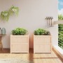 Jardineras de exterior 2 unidades madera maciza de pino en Macetas y jardineras | Comprar online en Foru.es