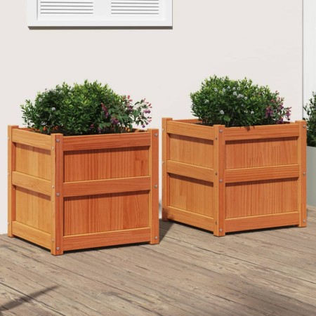 Jardineras de exterior 2 uds madera maciza de pino marrón cera en Macetas y jardineras | Comprar online en Foru.es