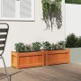 Jardineras de exterior 2 uds madera maciza de pino marrón cera en Macetas y jardineras | Comprar online en Foru.es