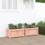 Jardineras de jardín 2 unidades madera maciza Douglas en Macetas y jardineras | Comprar online en Foru.es