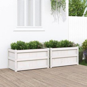 Jardineras de exterior 2 unidades madera maciza de pino blanco en Macetas y jardineras | Comprar online en Foru.es