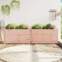 Jardineras de jardín 2 unidades madera maciza Douglas en Macetas y jardineras | Comprar online en Foru.es
