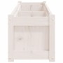 Jardinera de madera maciza de pino blanca 150x31x31 cm en Macetas y jardineras | Comprar online en Foru.es