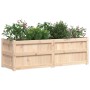 Jardinera de madera maciza de pino 150x50x50 cm en Macetas y jardineras | Comprar online en Foru.es