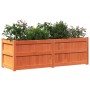 Jardinera exterior madera maciza pino marrón cera 150x50x50 cm en Macetas y jardineras | Comprar online en Foru.es