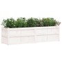 Jardinera de madera maciza de pino blanca 180x50x50 cm en Macetas y jardineras | Comprar online en Foru.es