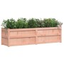 Jardinera madera maciza de abeto Douglas 180x50x50 cm en Macetas y jardineras | Comprar online en Foru.es