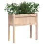 Jardineras de exterior con patas 2 uds madera maciza de pino en Macetas y jardineras | Comprar online en Foru.es