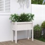 Jardinera con patas madera maciza de pino blanco 70x31x70 cm en Macetas y jardineras | Comprar online en Foru.es