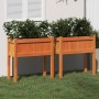 Jardineras con patas 2 uds madera maciza de pino marrón cera en Macetas y jardineras | Comprar online en Foru.es