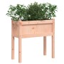 Jardineras con patas 2 uds madera maciza de abeto Douglas en Macetas y jardineras | Comprar online en Foru.es
