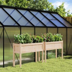 Jardineras de exterior con patas 2 uds madera maciza de pino en Macetas y jardineras | Comprar online en Foru.es