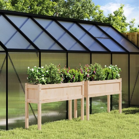 Jardineras de exterior con patas 2 uds madera maciza de pino en Macetas y jardineras | Comprar online en Foru.es