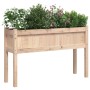 Jardineras de exterior con patas 2 uds madera maciza de pino en Macetas y jardineras | Comprar online en Foru.es