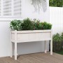 Jardinera con patas madera maciza de pino blanco 110x31x70 cm en Macetas y jardineras | Comprar online en Foru.es