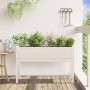 Jardinera con patas madera maciza de pino blanco 110x31x70 cm en Macetas y jardineras | Comprar online en Foru.es
