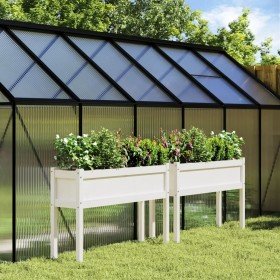 Jardineras exterior con patas 2 uds madera maciza pino blanco en Macetas y jardineras | Comprar online en Foru.es