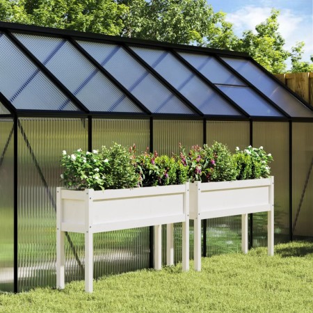 Jardineras exterior con patas 2 uds madera maciza pino blanco en Macetas y jardineras | Comprar online en Foru.es