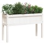 Jardineras exterior con patas 2 uds madera maciza pino blanco en Macetas y jardineras | Comprar online en Foru.es