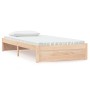 Estructura de cama madera maciza 100x200 cm de vidaXL, Camas y somieres - Ref: Foro24-814939, Precio: 124,42 €, Descuento: %