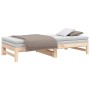 Sofá cama extraíble madera maciza de pino 2x(75x190) cm de vidaXL, Camas y somieres - Ref: Foro24-823419, Precio: 144,84 €, D...