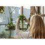 Esschert Design Bandeja colgante para plantas rectangular verde L de Esschert Design, Bandejas decorativas - Ref: Foro24-4410...
