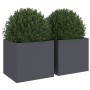 Jardineras 2 unidades acero gris antracita 32x30x29 cm en Macetas y jardineras | Comprar online en Foru.es