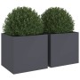 Jardineras 2 unidades acero gris antracita 49x47x46 cm en Macetas y jardineras | Comprar online en Foru.es