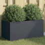 Jardinera acero gris antracita 62x30x29 cm en Macetas y jardineras | Comprar online en Foru.es