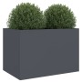 Jardinera acero gris antracita 62x40x39 cm en Macetas y jardineras | Comprar online en Foru.es