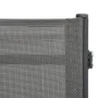 Tumbonas 2 unidades textilene y acero de vidaXL, Tumbonas - Ref: Foro24-47848, Precio: 149,50 €, Descuento: %