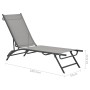 Tumbonas 2 unidades textilene y acero de vidaXL, Tumbonas - Ref: Foro24-47848, Precio: 152,08 €, Descuento: %