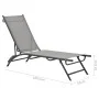 Tumbonas 2 unidades textilene y acero de vidaXL, Tumbonas - Ref: Foro24-47848, Precio: 149,50 €, Descuento: %