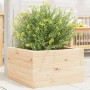 Jardinera de madera maciza de pino 40x40x23 cm en Macetas y jardineras | Comprar online en Foru.es
