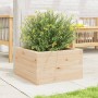 Jardinera de madera maciza de pino 40x40x23 cm en Macetas y jardineras | Comprar online en Foru.es