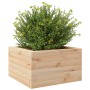 Jardinera de madera maciza de pino 40x40x23 cm en Macetas y jardineras | Comprar online en Foru.es