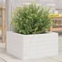 Jardinera de madera maciza de pino blanca 40x40x23 cm en Macetas y jardineras | Comprar online en Foru.es