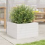 Jardinera de madera maciza de pino blanca 40x40x23 cm en Macetas y jardineras | Comprar online en Foru.es
