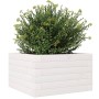 Jardinera de madera maciza de pino blanca 40x40x23 cm en Macetas y jardineras | Comprar online en Foru.es