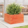 Jardinera de madera maciza de pino marrón cera 40x40x23 cm en Macetas y jardineras | Comprar online en Foru.es