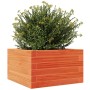 Jardinera de madera maciza de pino marrón cera 40x40x23 cm en Macetas y jardineras | Comprar online en Foru.es