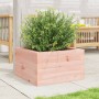 Jardinera madera maciza de abeto Douglas 40x40x23 cm en Macetas y jardineras | Comprar online en Foru.es