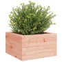 Jardinera madera maciza de abeto Douglas 40x40x23 cm en Macetas y jardineras | Comprar online en Foru.es