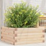 Jardinera de madera maciza de pino 50x50x23 cm en Macetas y jardineras | Comprar online en Foru.es
