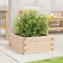 Jardinera de madera maciza de pino 50x50x23 cm en Macetas y jardineras | Comprar online en Foru.es
