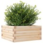 Jardinera de madera maciza de pino 50x50x23 cm en Macetas y jardineras | Comprar online en Foru.es