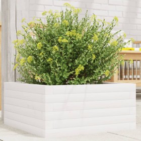 Jardinera de madera maciza de pino blanco 50x50x23 cm en Macetas y jardineras | Comprar online en Foru.es