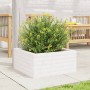 Jardinera de madera maciza de pino blanco 50x50x23 cm en Macetas y jardineras | Comprar online en Foru.es